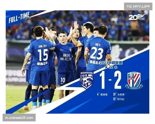 申花三镇贡献近半数外援投资 四笔交易总和接近615万欧元