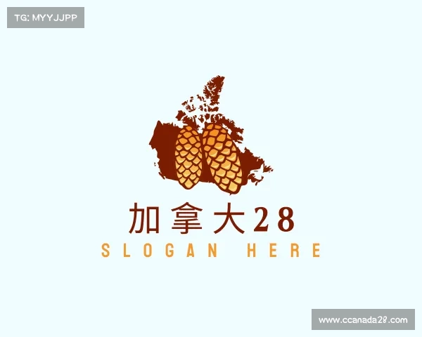 关于加拿大28